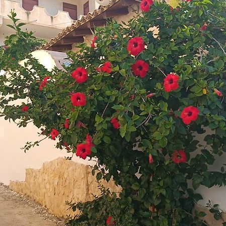 Al Faro Bed & Breakfast Realmonte Exterior photo