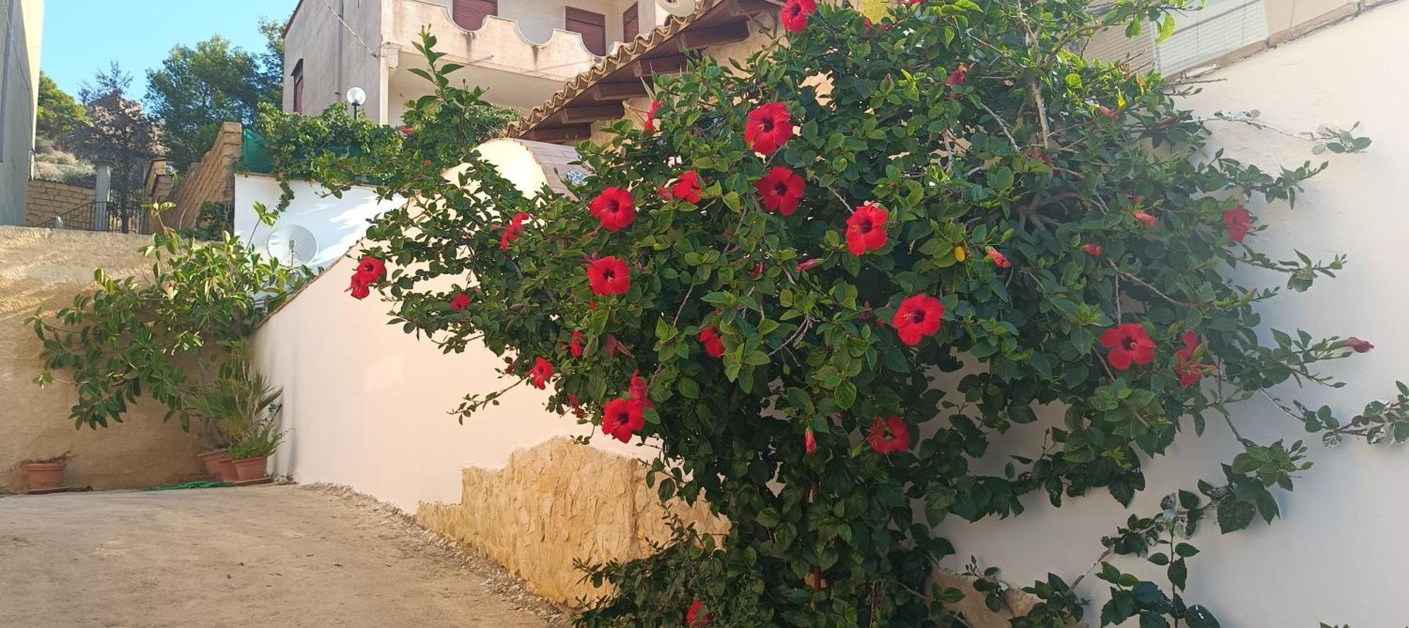 Al Faro Bed & Breakfast Realmonte Exterior photo
